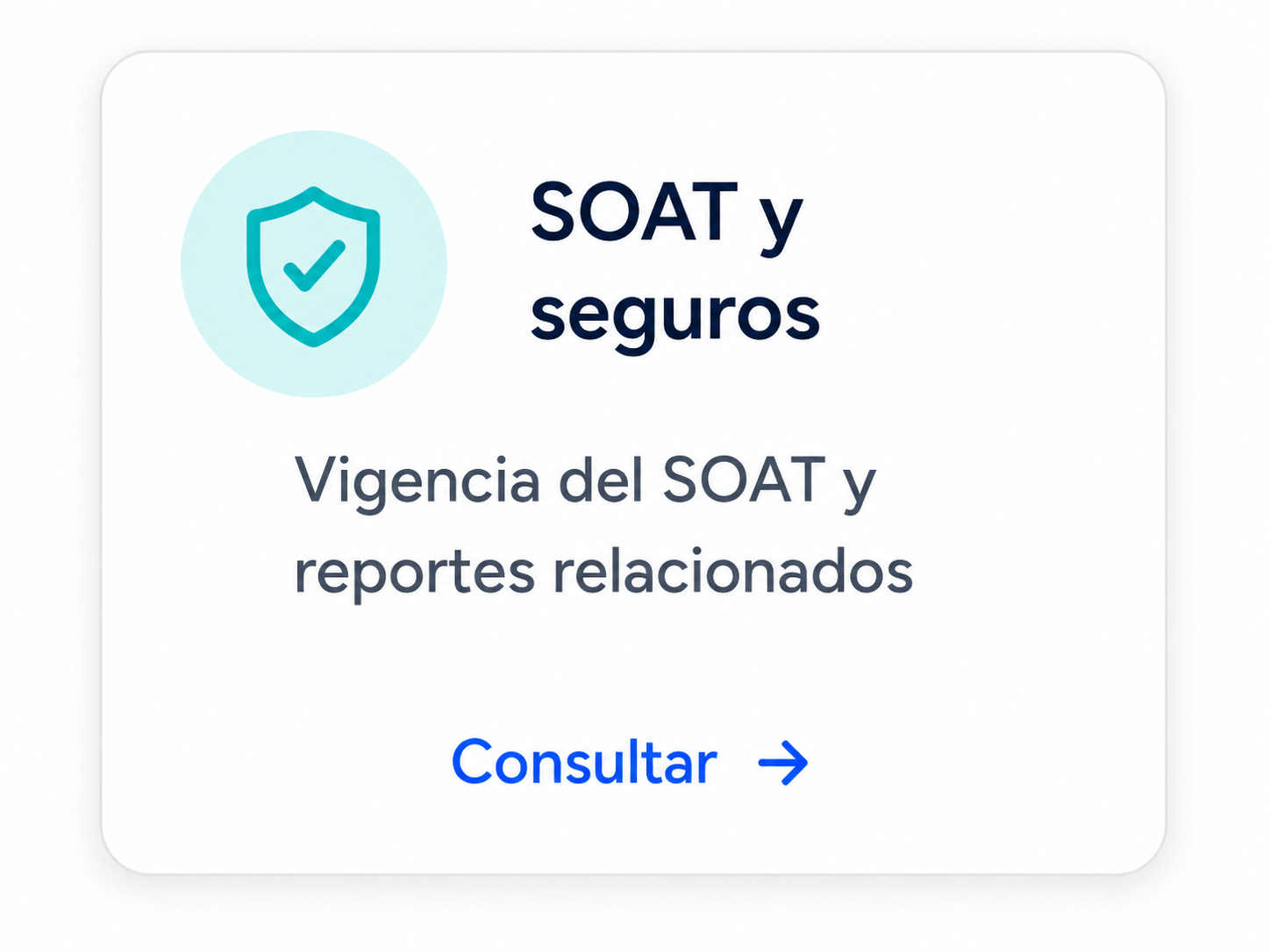 Soat y Seguros.